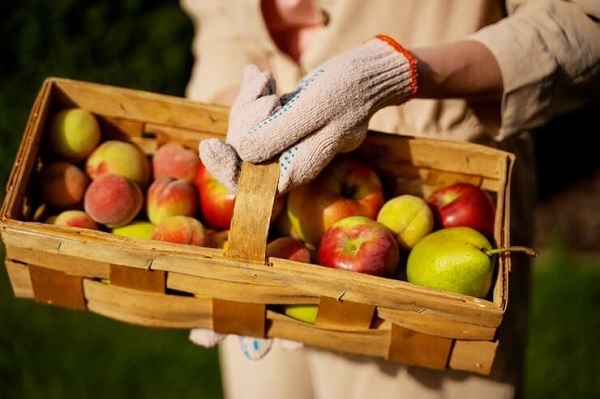 لیست کالاهای صادراتی از ایران 
