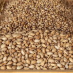 راهنمای جامع صادرات پسته