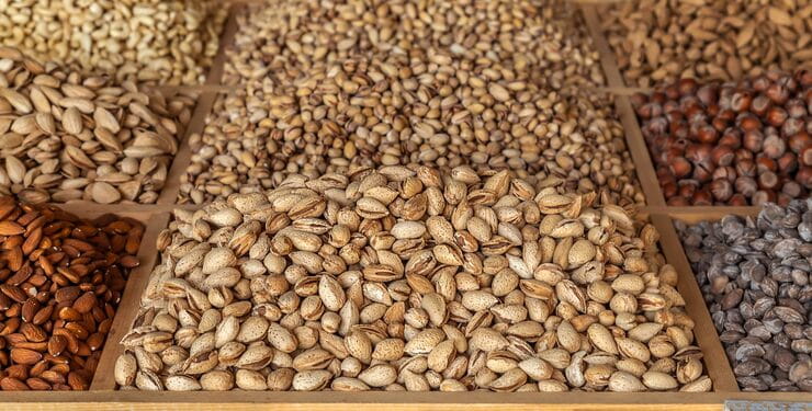 راهنمای جامع صادرات پسته